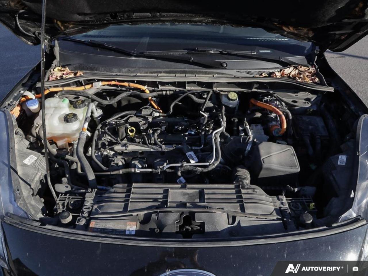 2022 Ford Escape SE Hybrid Photo