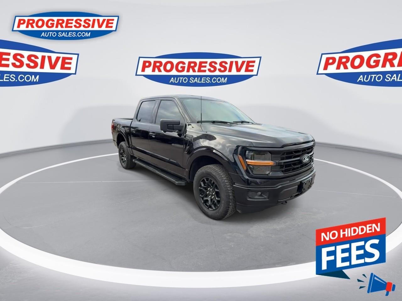 2024 Ford F-150 XLT Photo2