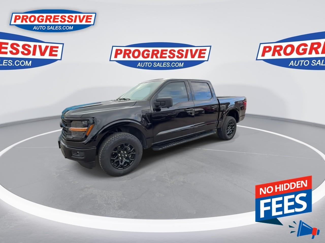 2024 Ford F-150 XLT Photo4