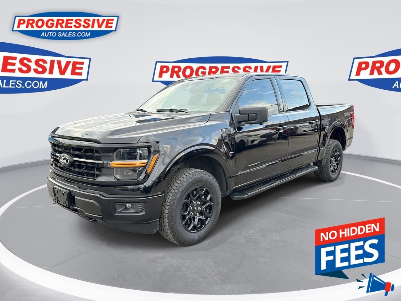 2024 Ford F-150 XLT Photo0