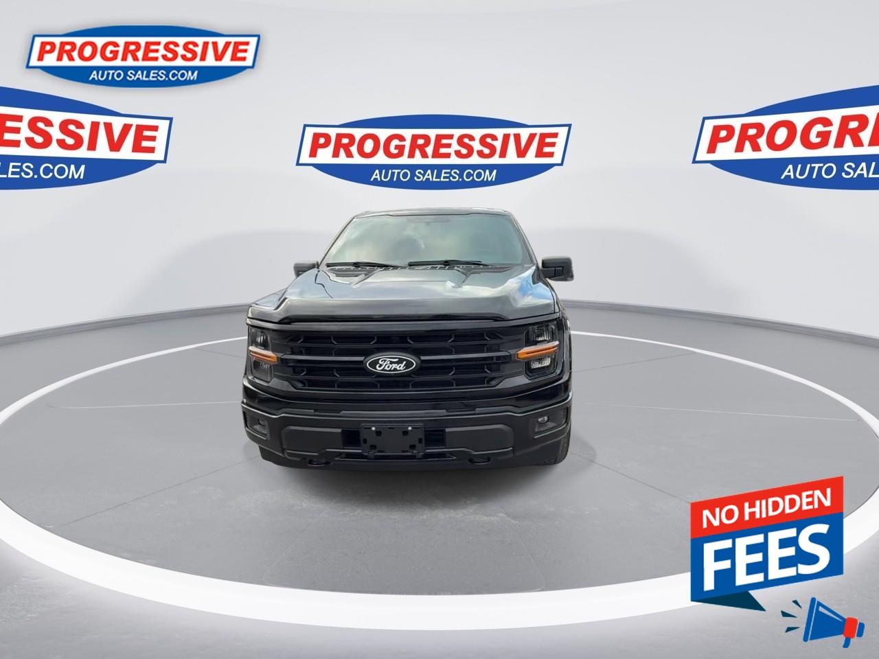 2024 Ford F-150 XLT Photo