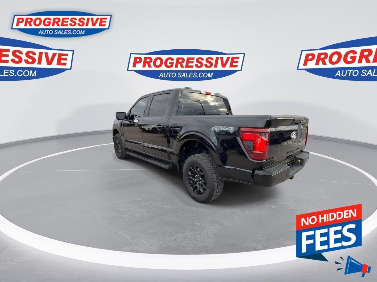 2024 Ford F-150 XLT Photo