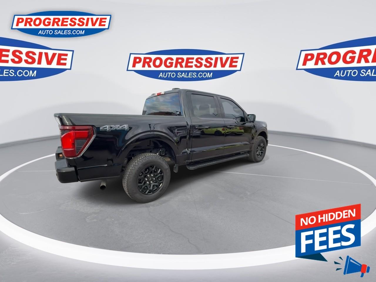 2024 Ford F-150 XLT Photo