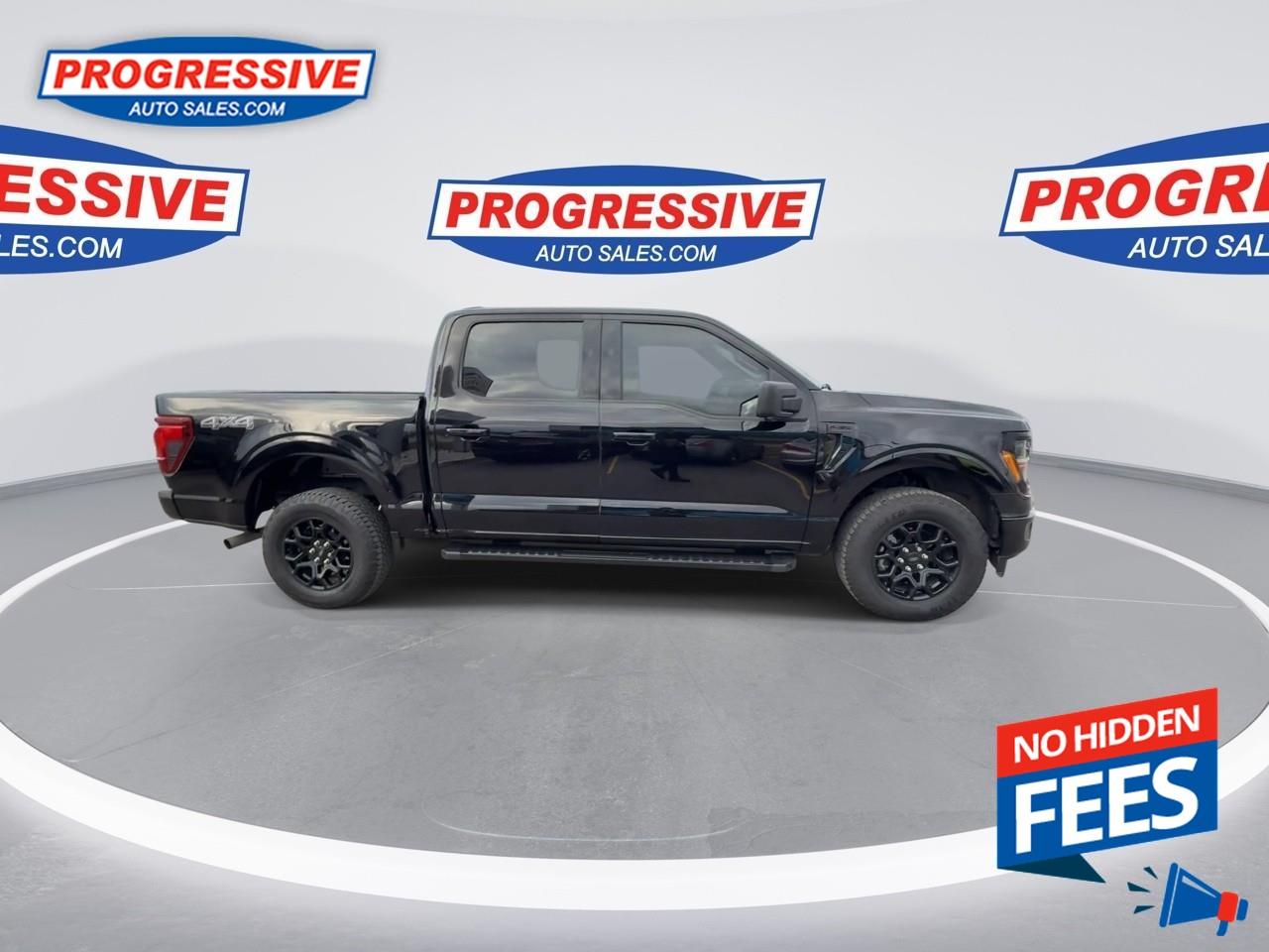 2024 Ford F-150 XLT Photo