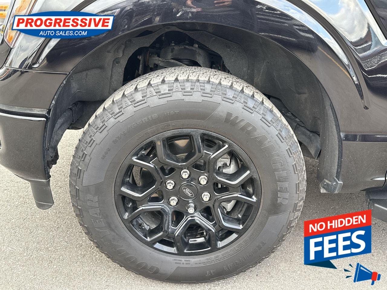 2024 Ford F-150 XLT Photo