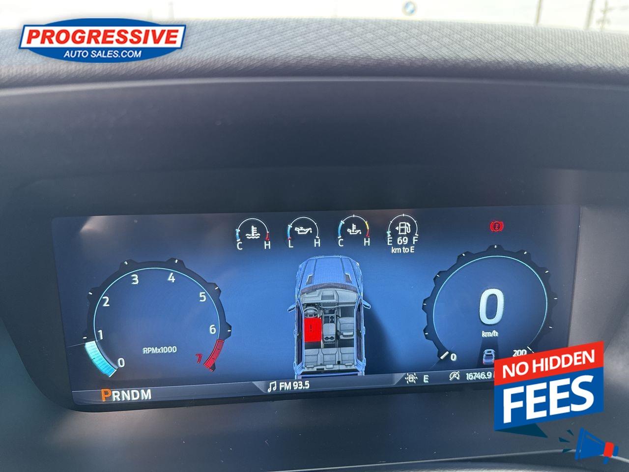 2024 Ford F-150 XLT Photo