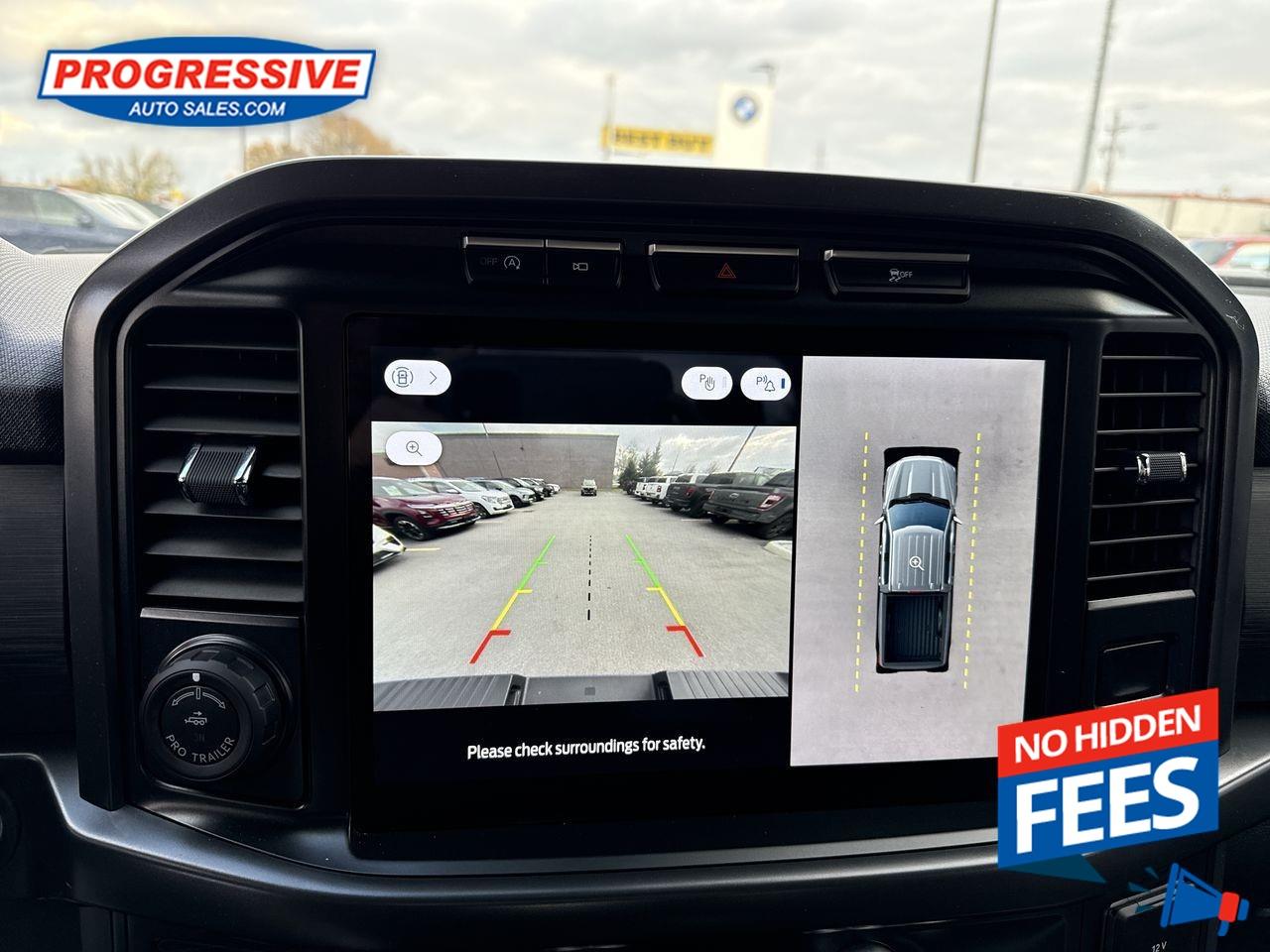 2024 Ford F-150 XLT Photo