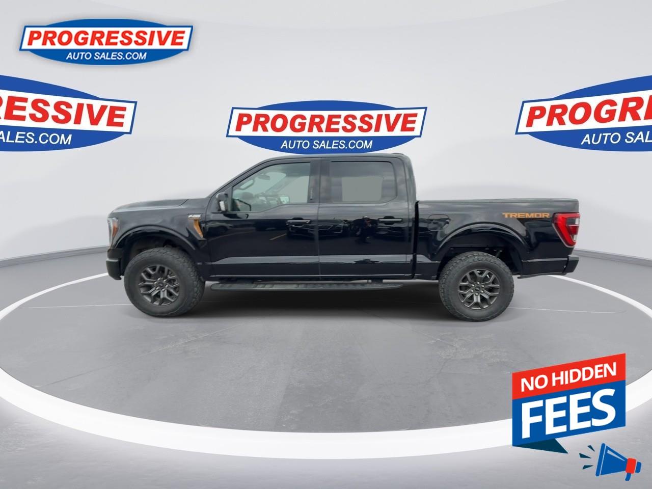 2022 Ford F-150 Tremor Photo