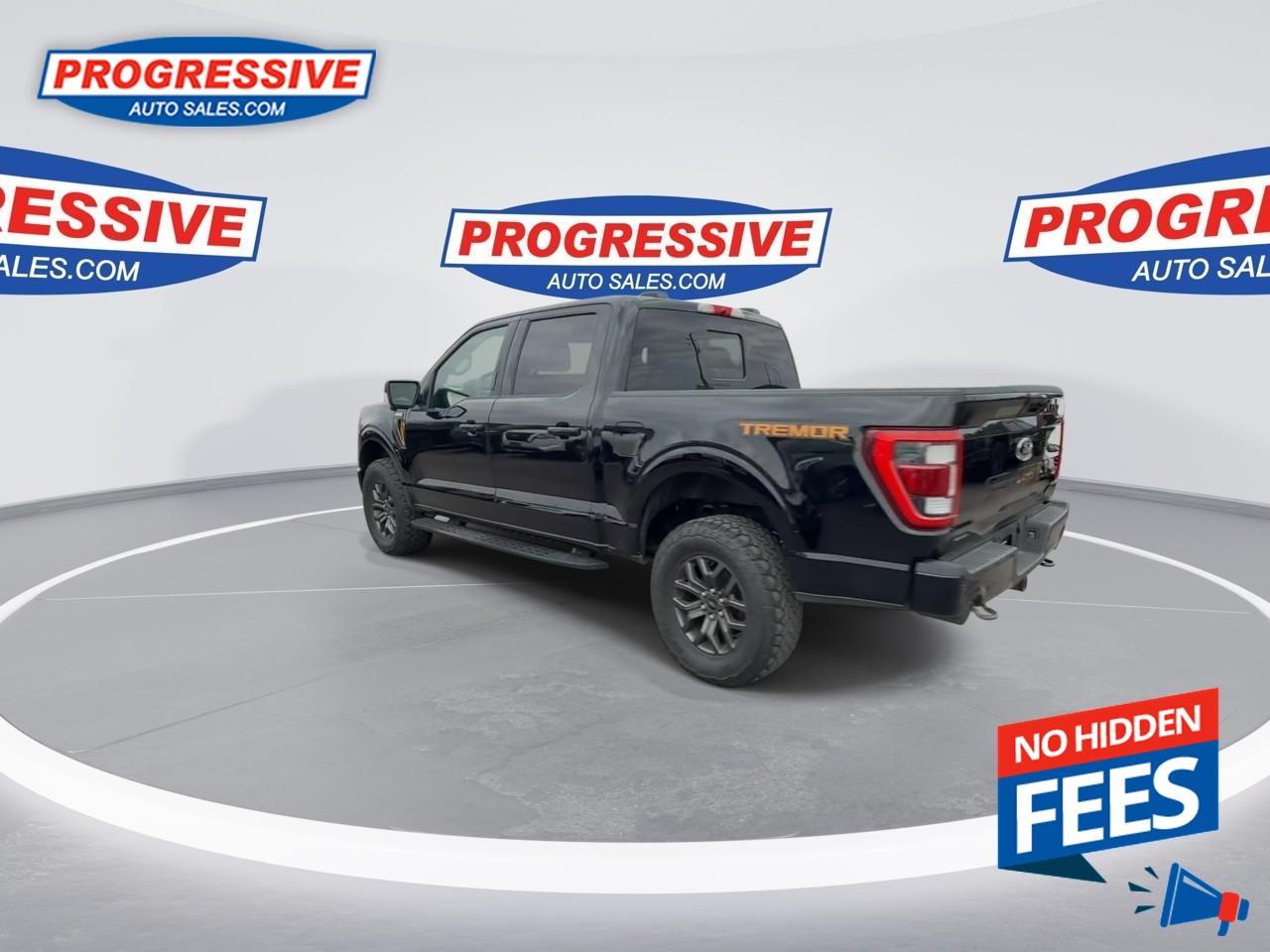 2022 Ford F-150 Tremor Photo