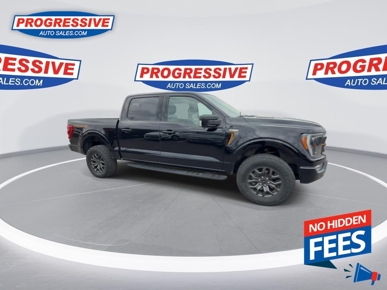 2022 Ford F-150 Tremor Photo