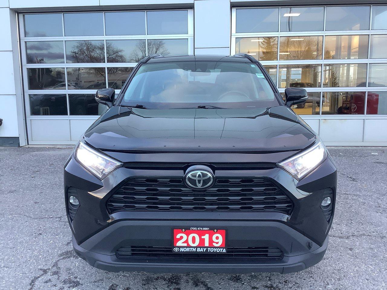 2019 Toyota RAV4 XLE Photo