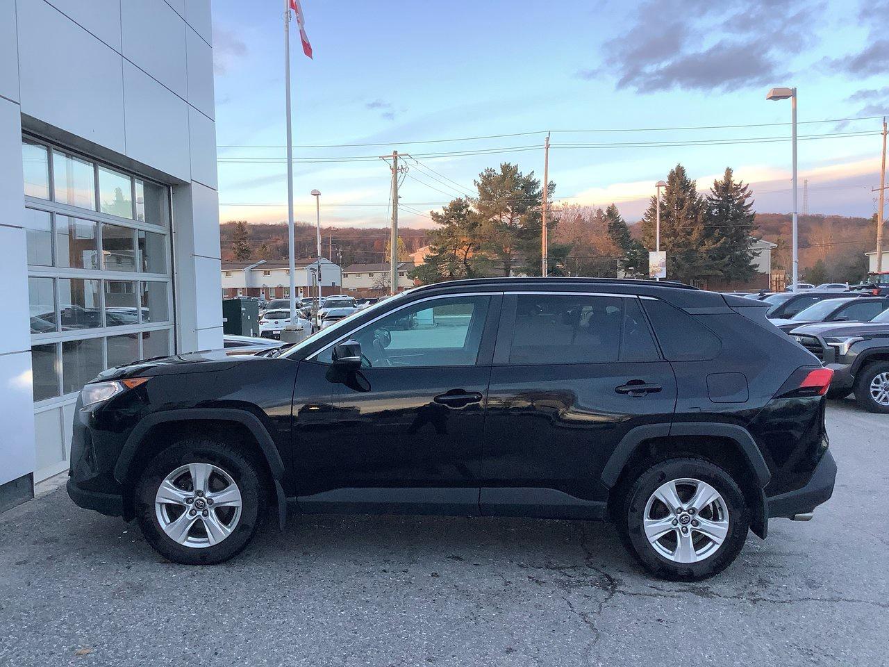 2019 Toyota RAV4 XLE Photo4