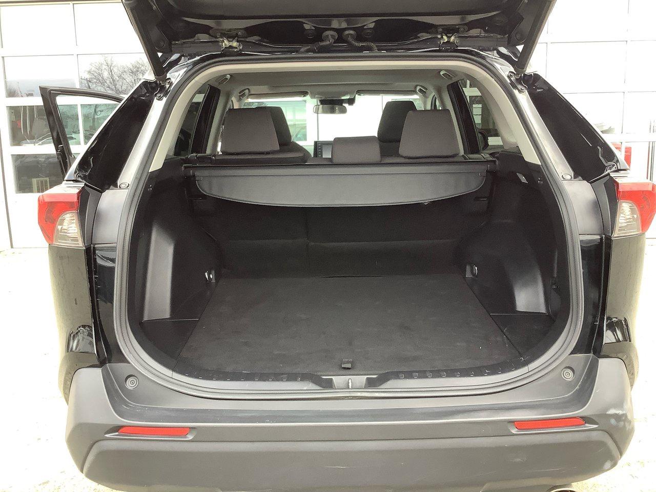 2019 Toyota RAV4 XLE Photo