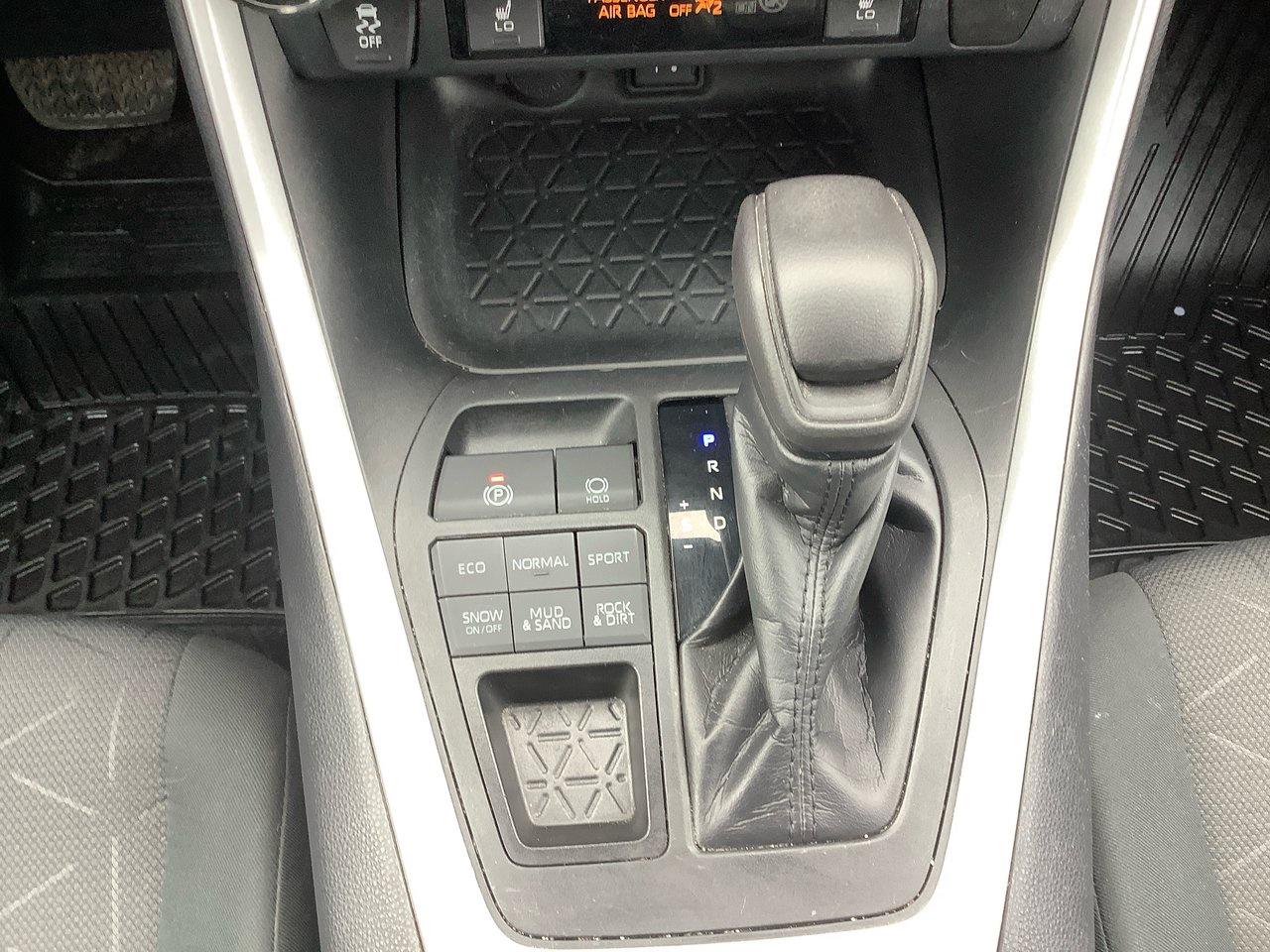 2019 Toyota RAV4 XLE Photo