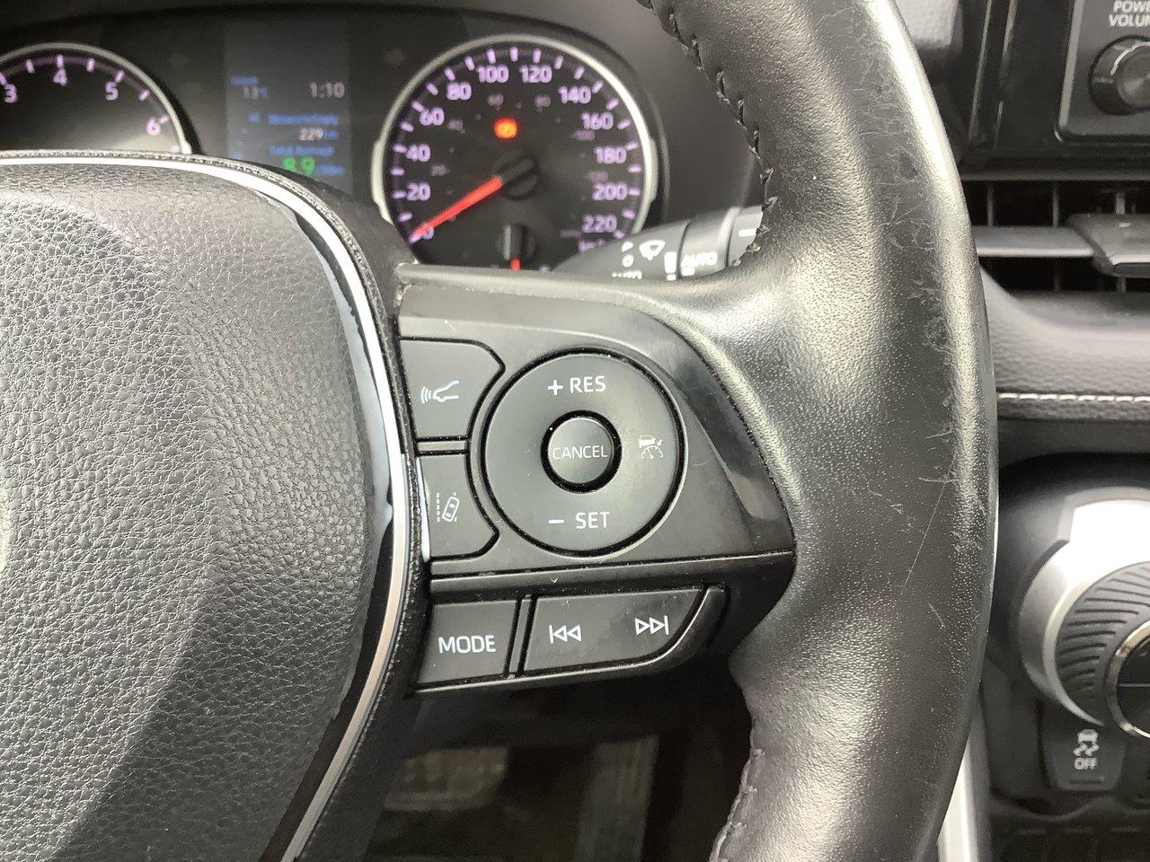 2019 Toyota RAV4 XLE Photo