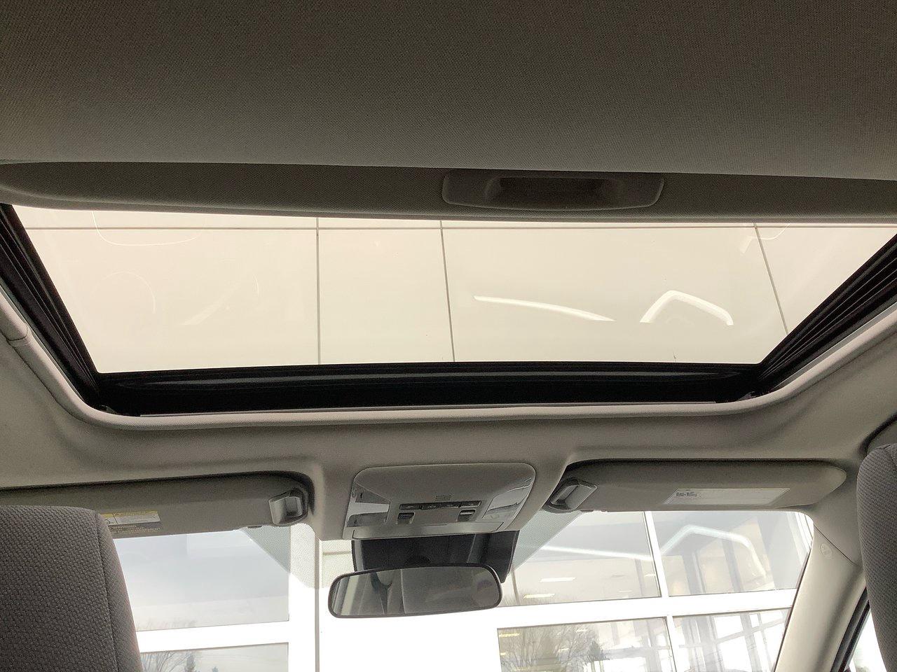 2019 Toyota RAV4 XLE Photo