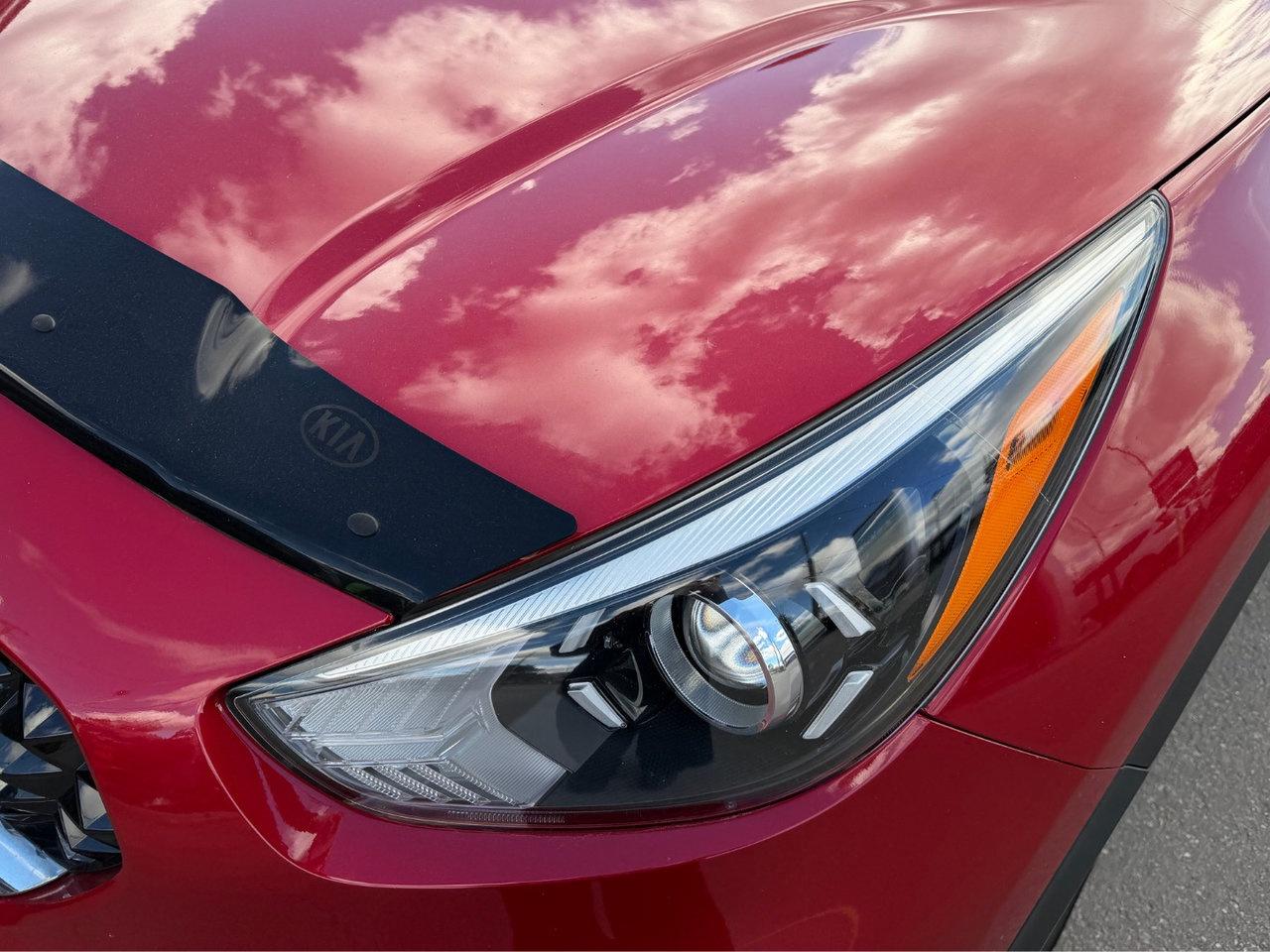 2022 Kia NIRO EX Pkg.   Heated Seats & Steering Wheel Photo