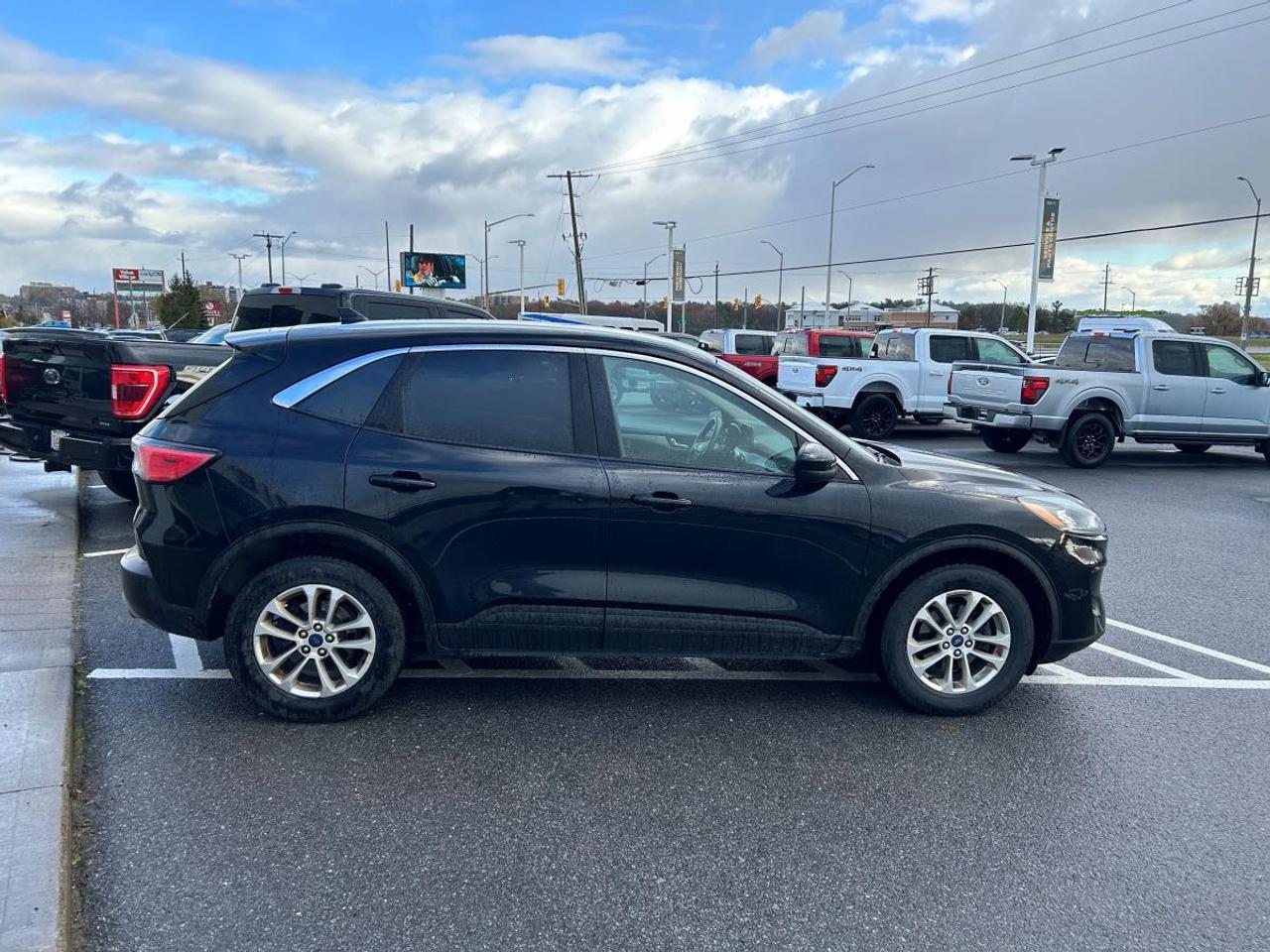 2020 Ford Escape SE Photo