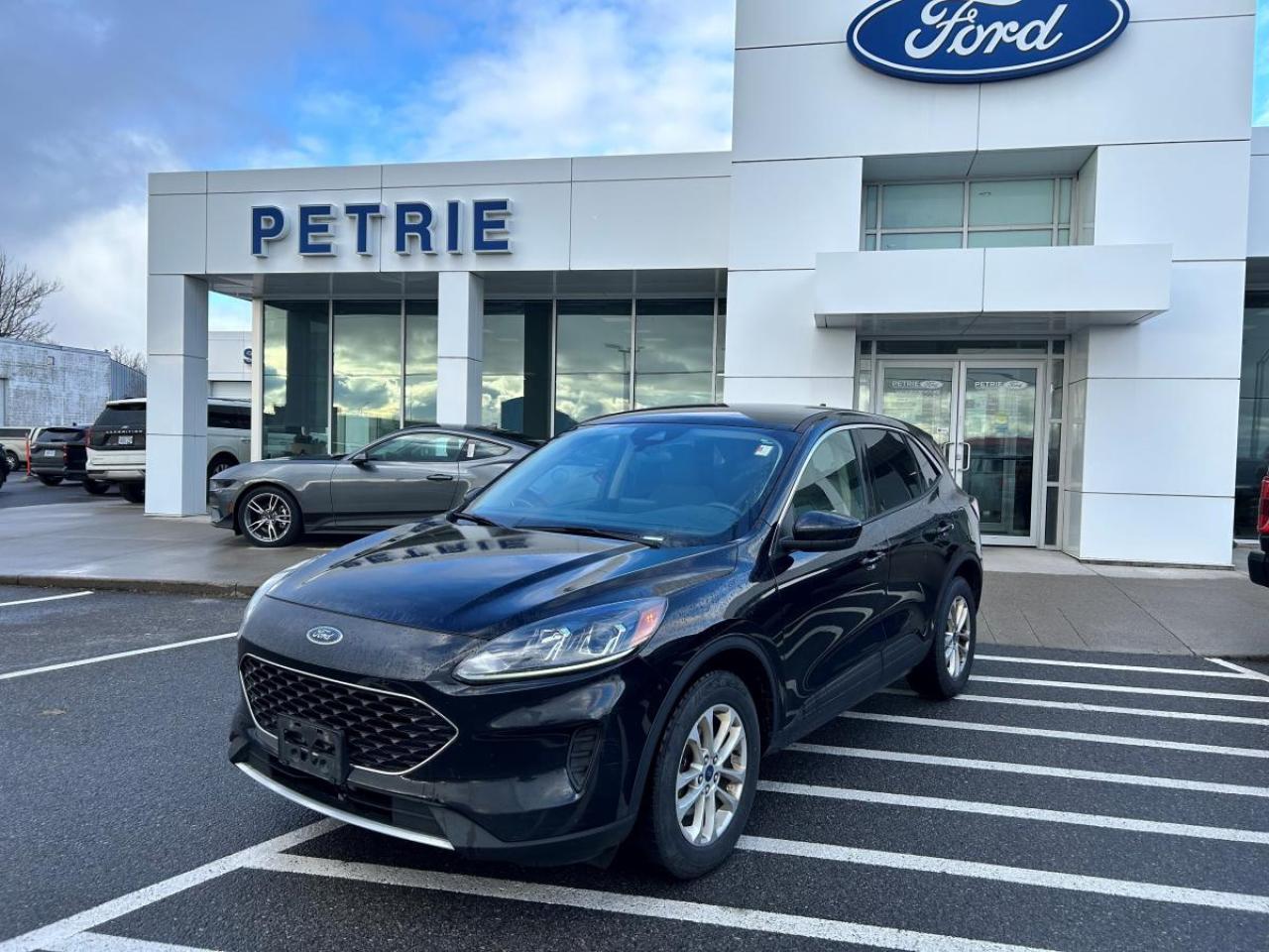 Used 2020 Ford Escape SE for sale in Kingston, ON