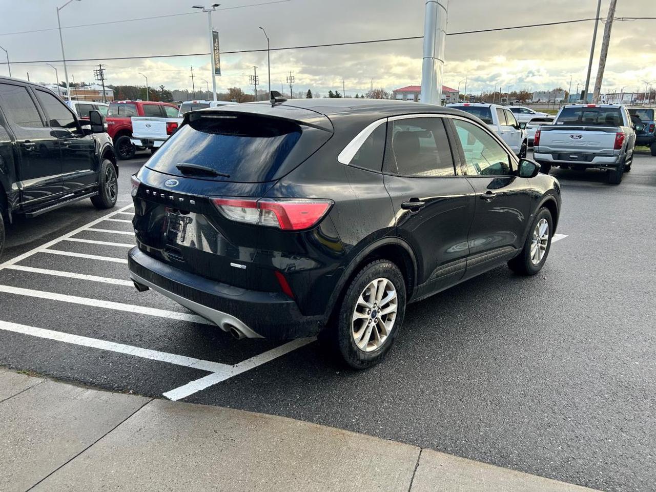 2020 Ford Escape SE Photo
