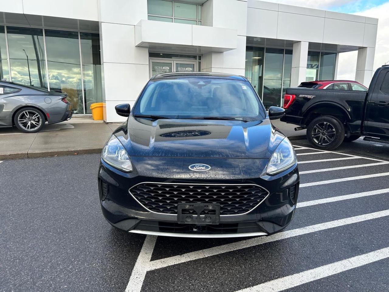 2020 Ford Escape SE Photo
