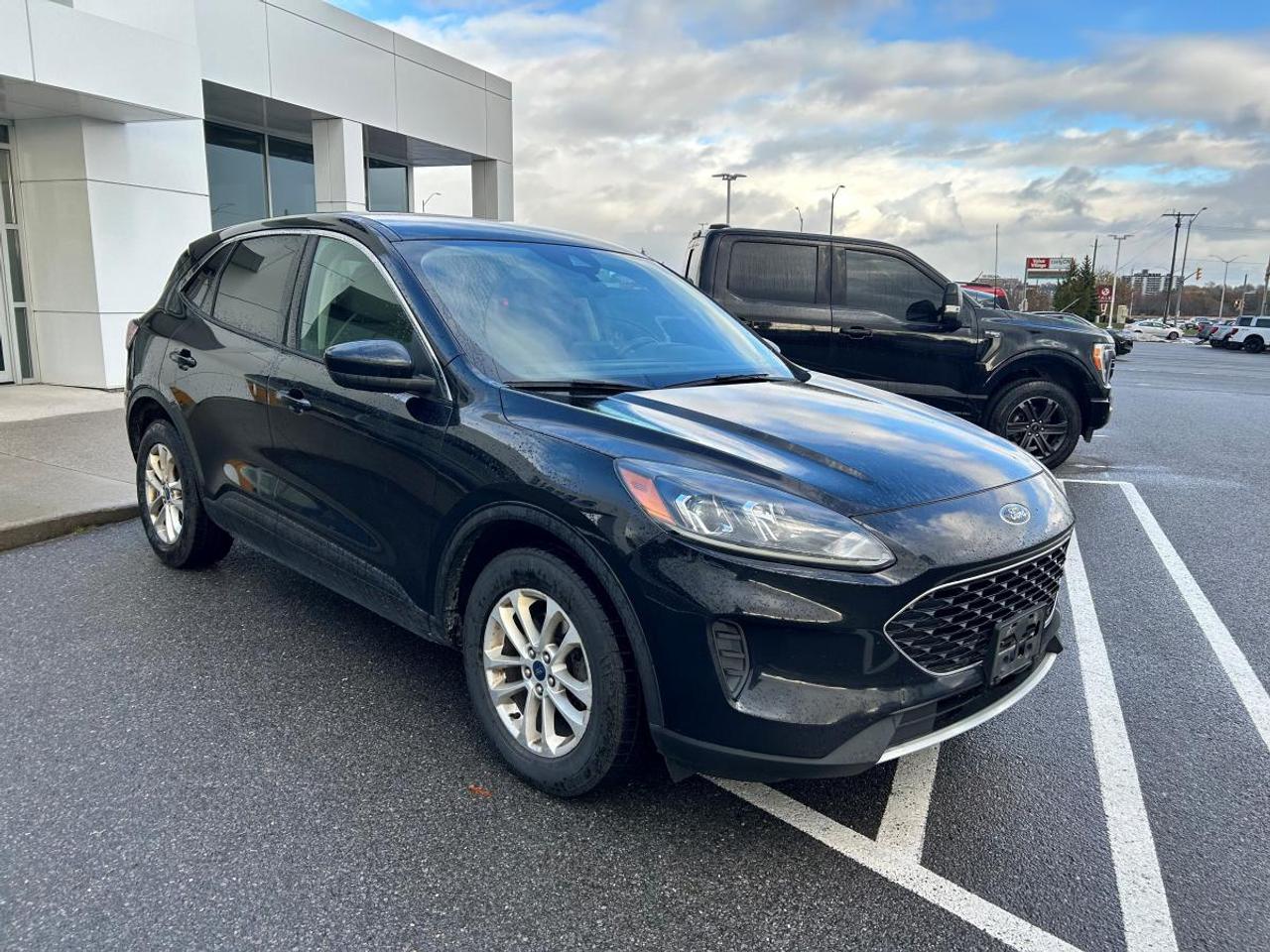 2020 Ford Escape SE Photo