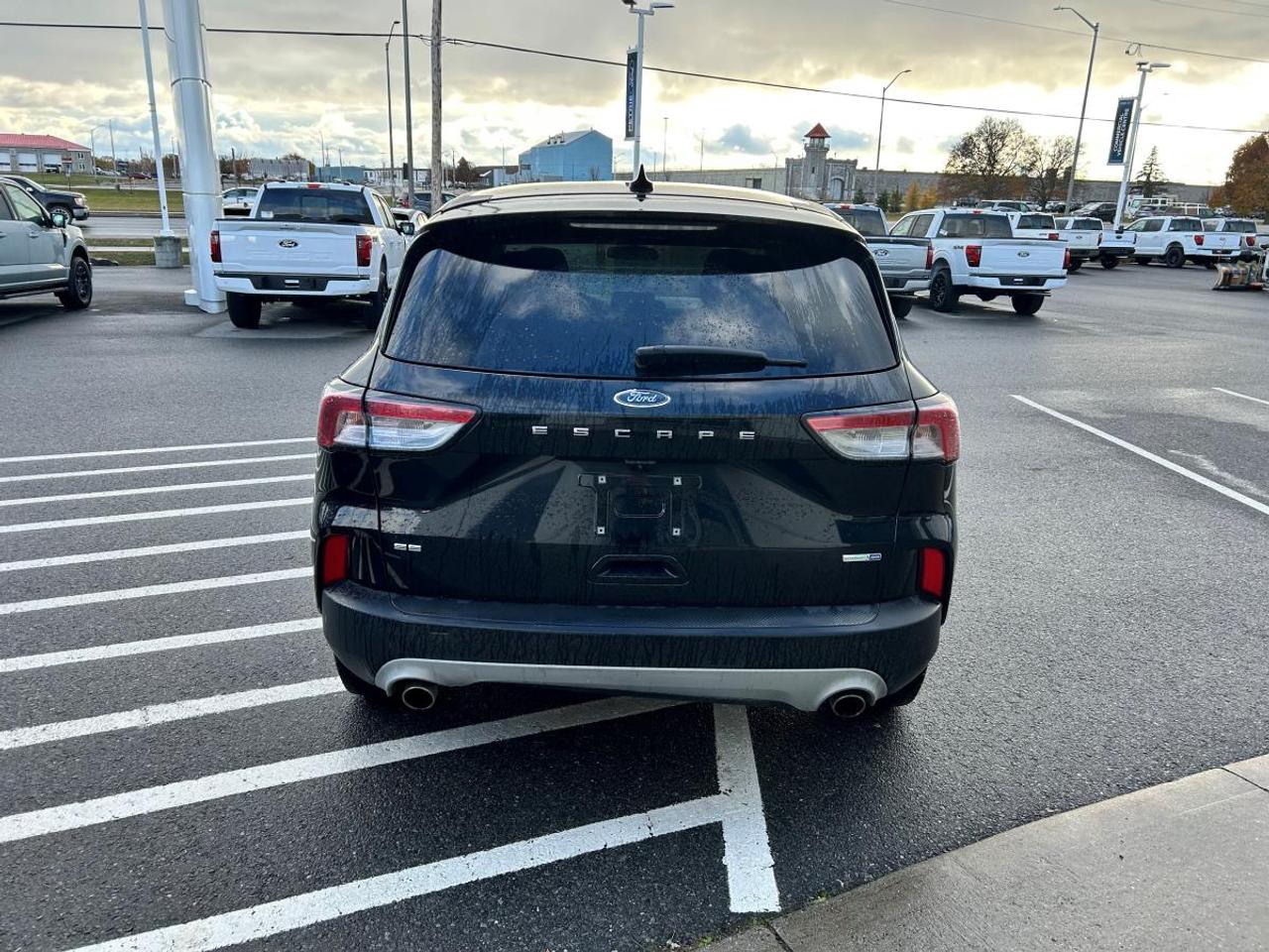 2020 Ford Escape SE Photo