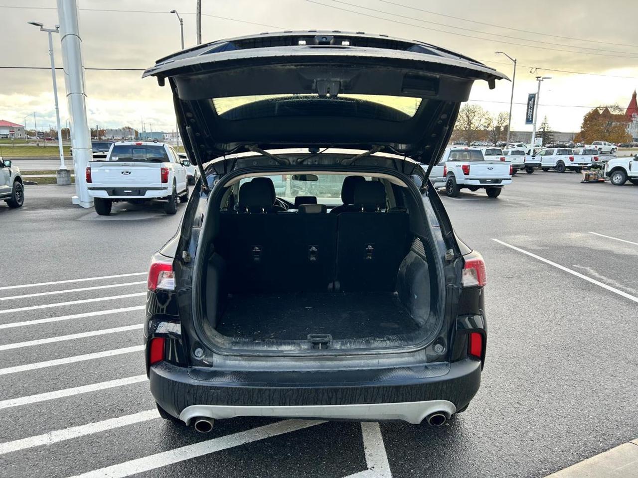 2020 Ford Escape SE Photo