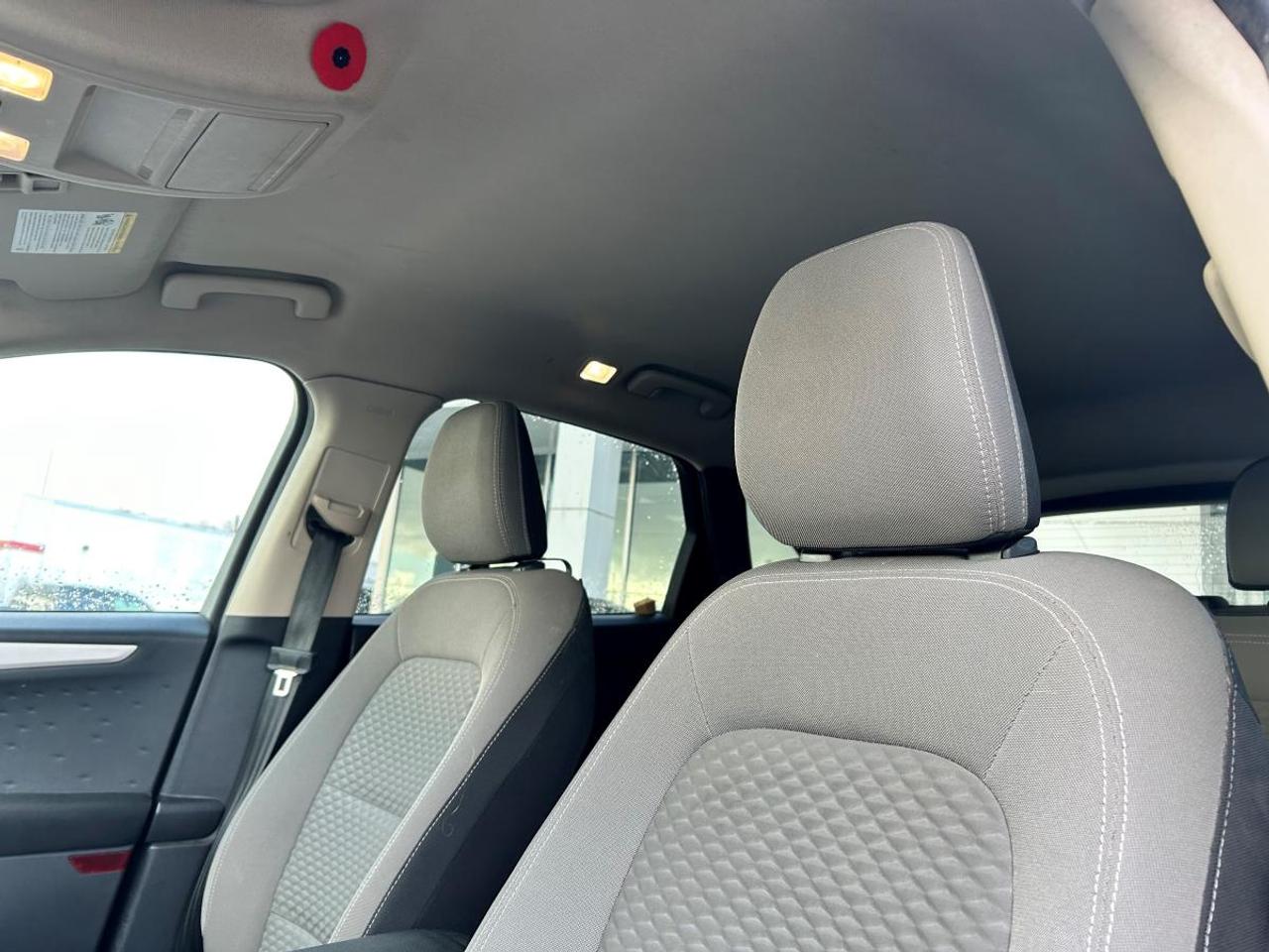 2020 Ford Escape SE Photo