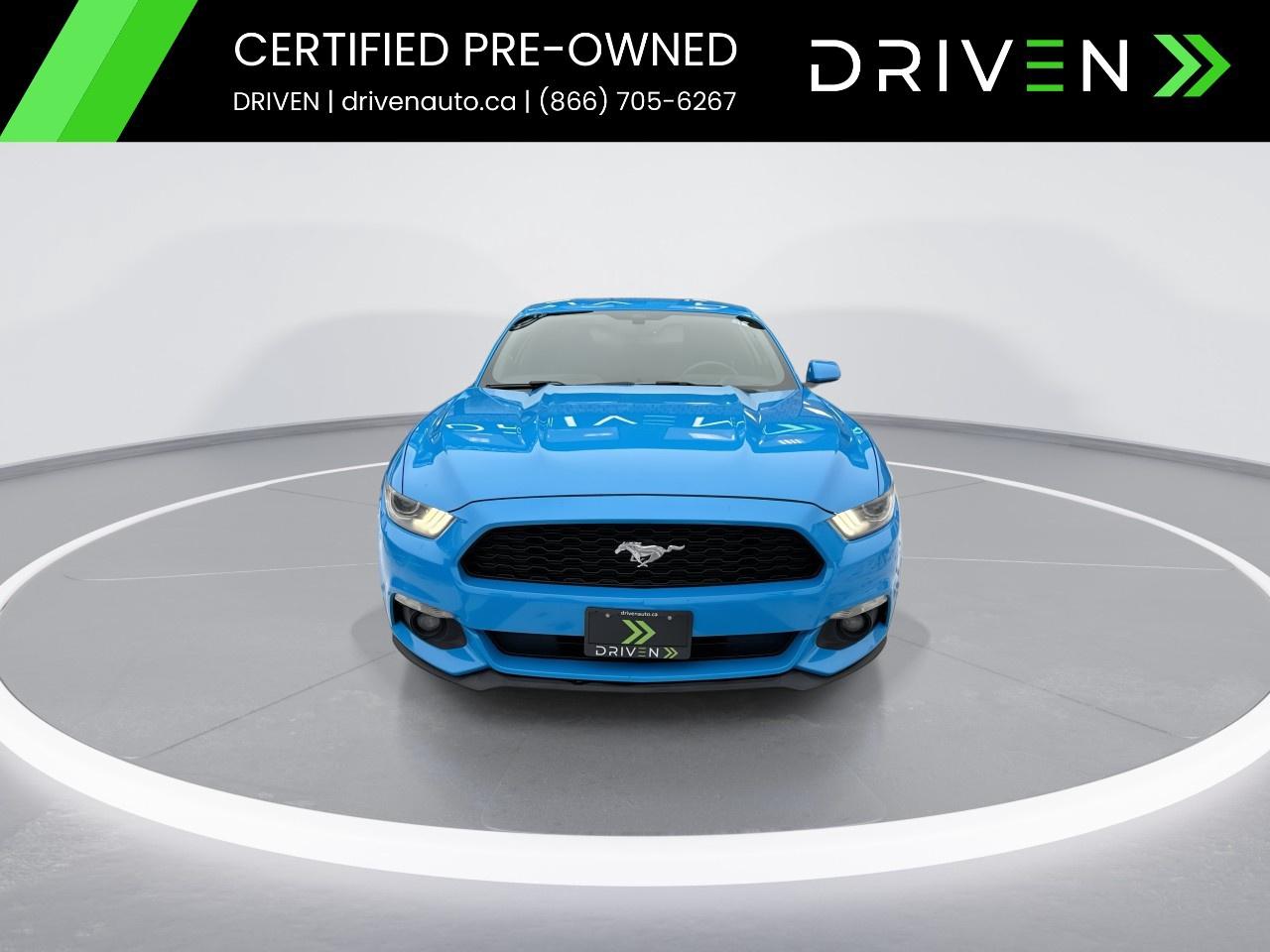 2017 Ford Mustang 2DR FASTBACK V6 Photo