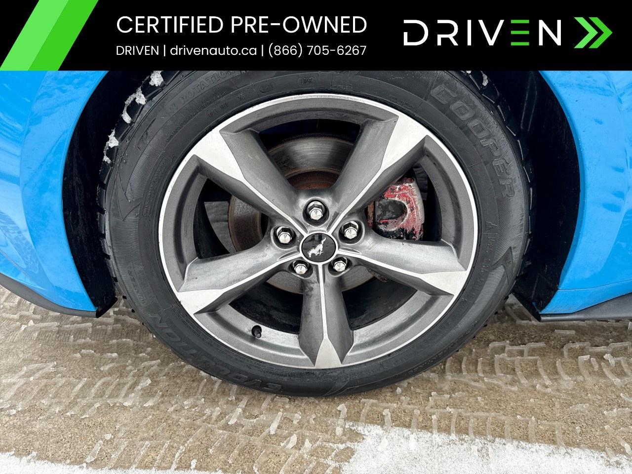 2017 Ford Mustang 2DR FASTBACK V6 Photo