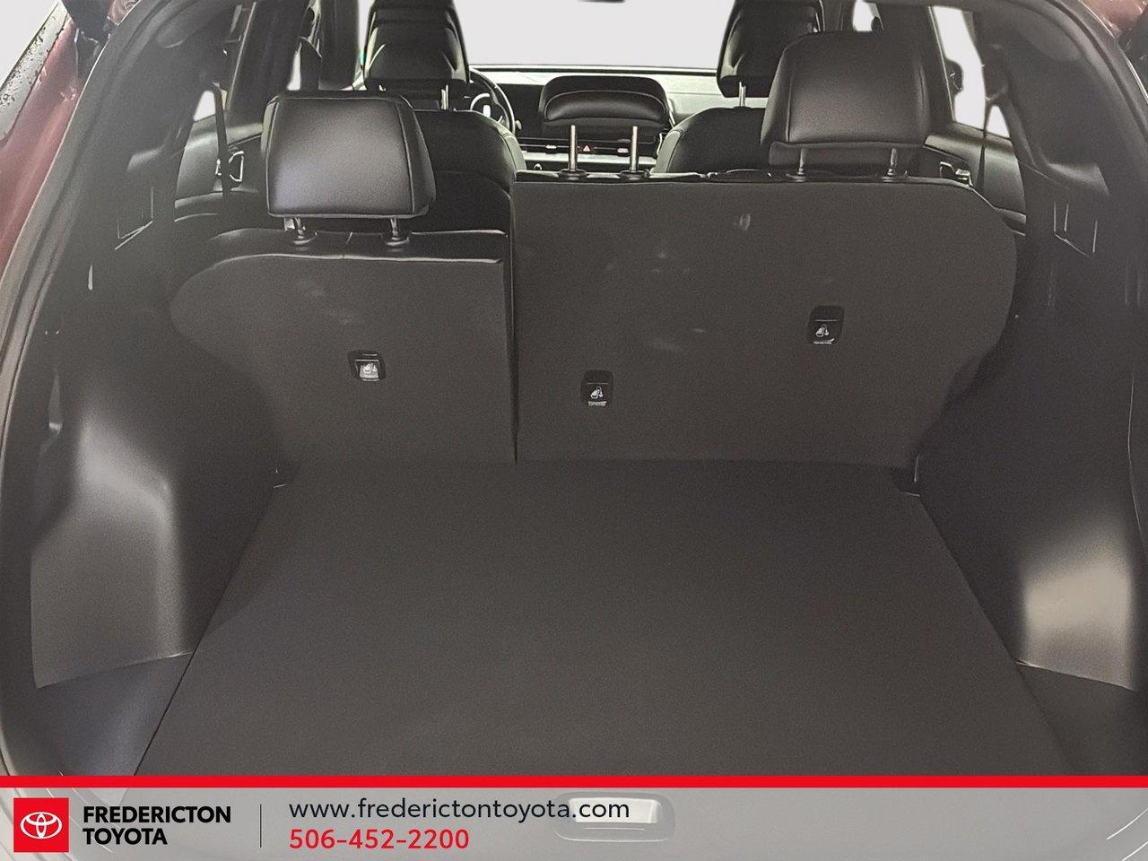 2023 Kia Sportage X-line Limited Photo