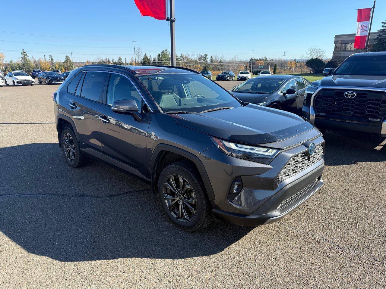 2023 Toyota RAV4 Hybrid Limited Photo2