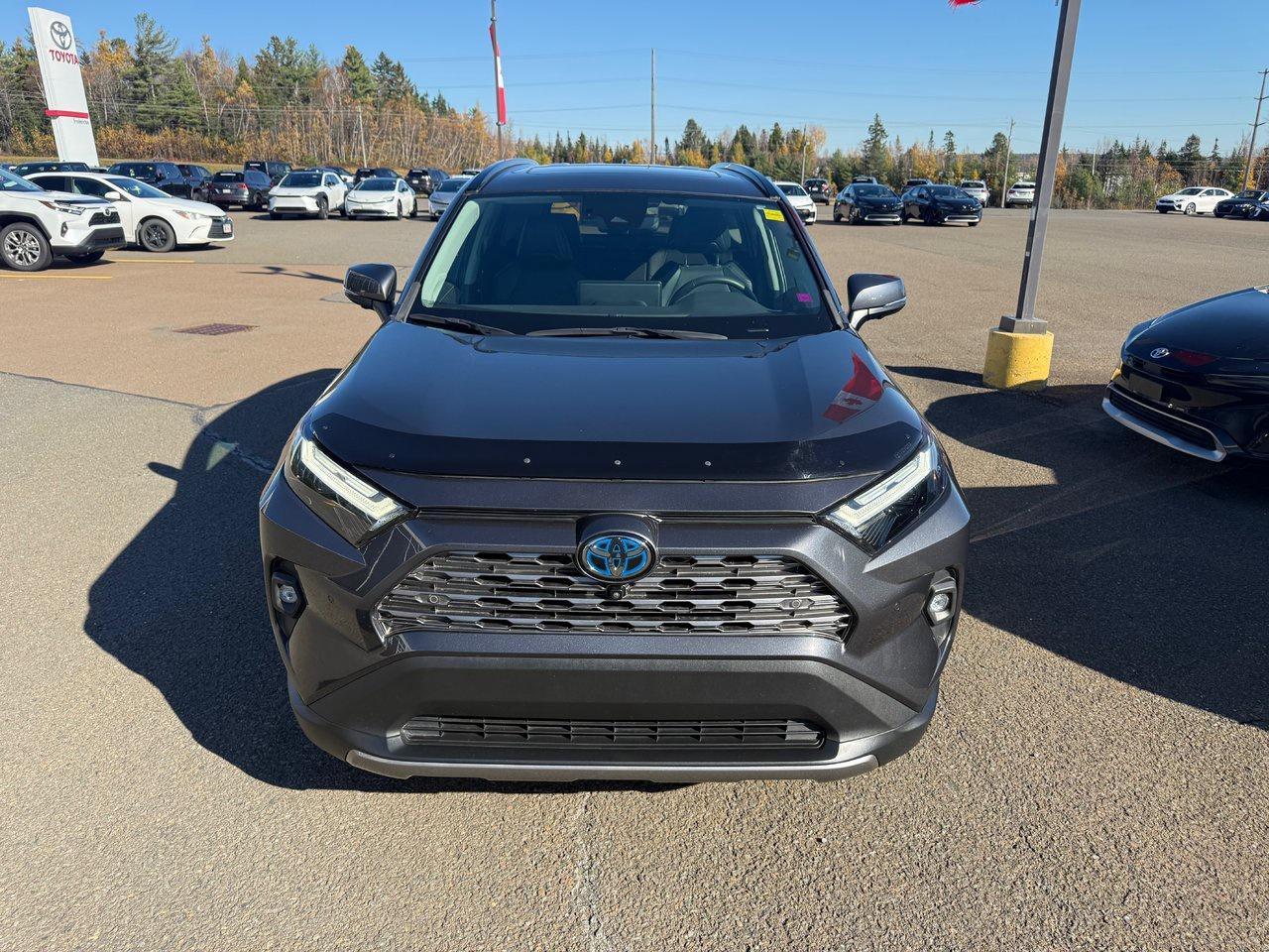 2023 Toyota RAV4 Hybrid Limited Photo1
