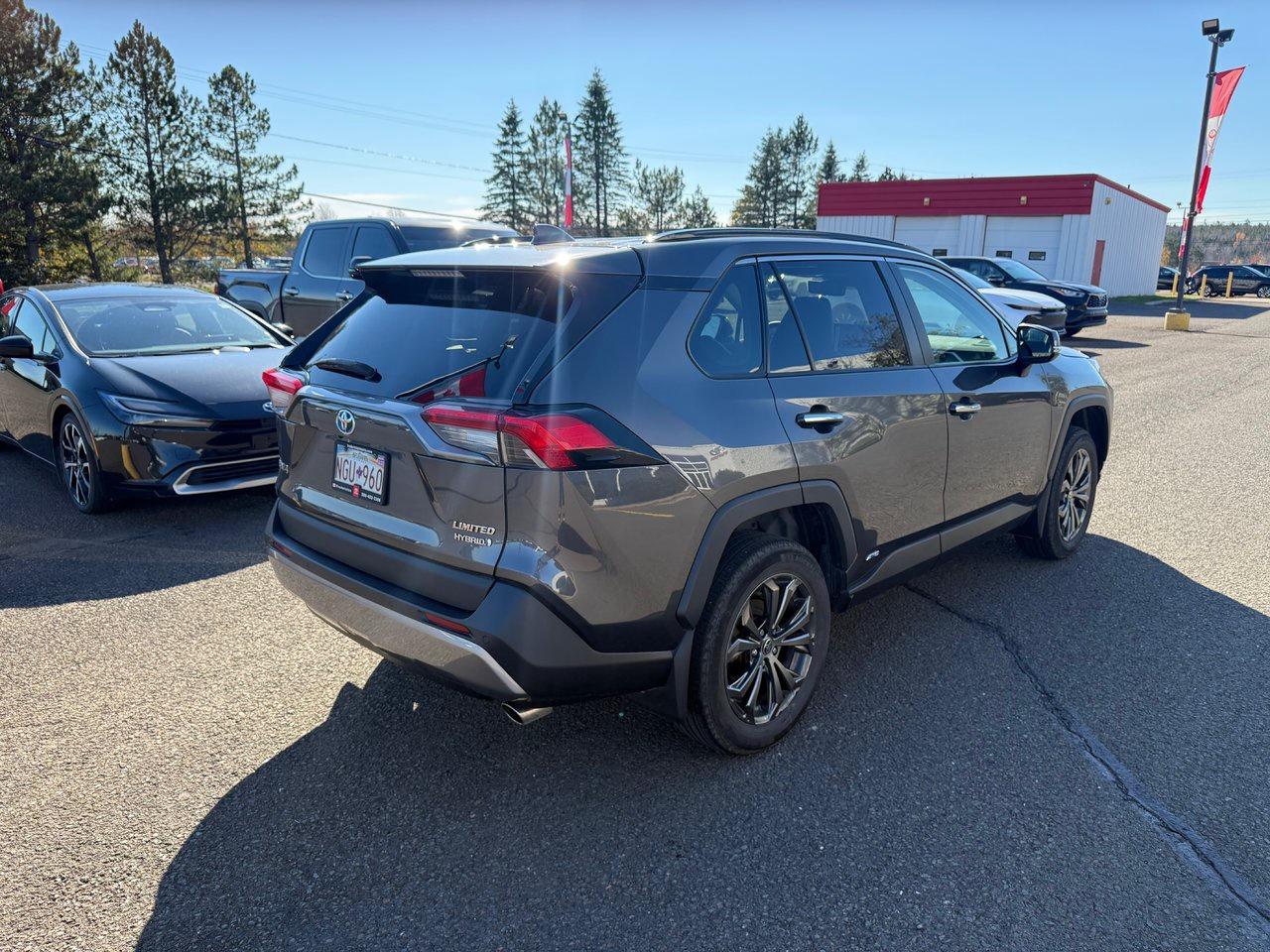 2023 Toyota RAV4 Hybrid Limited Photo4
