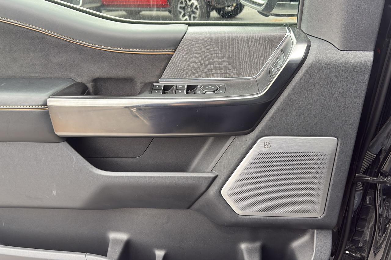 2021 Ford F-150 Platinum - Photo #9