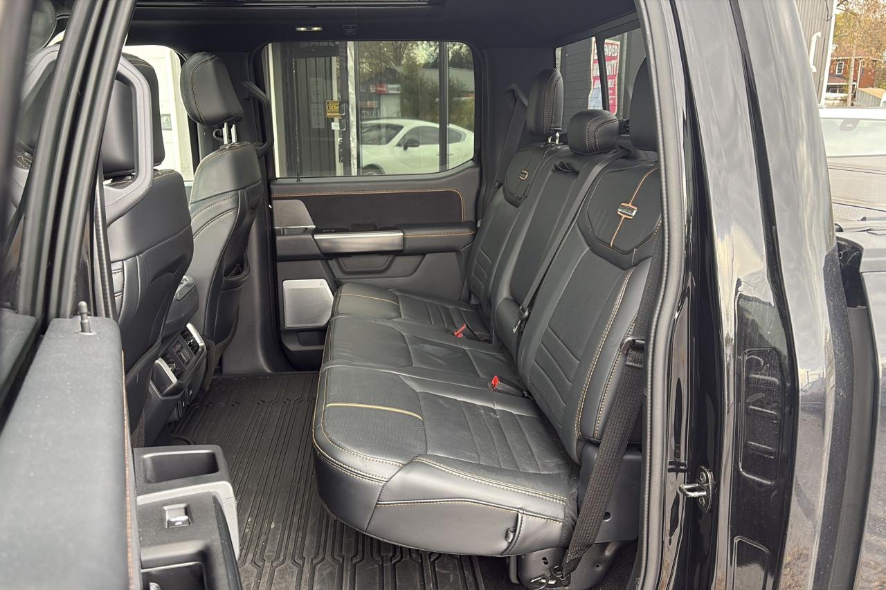 2021 Ford F-150 Platinum - Photo #10