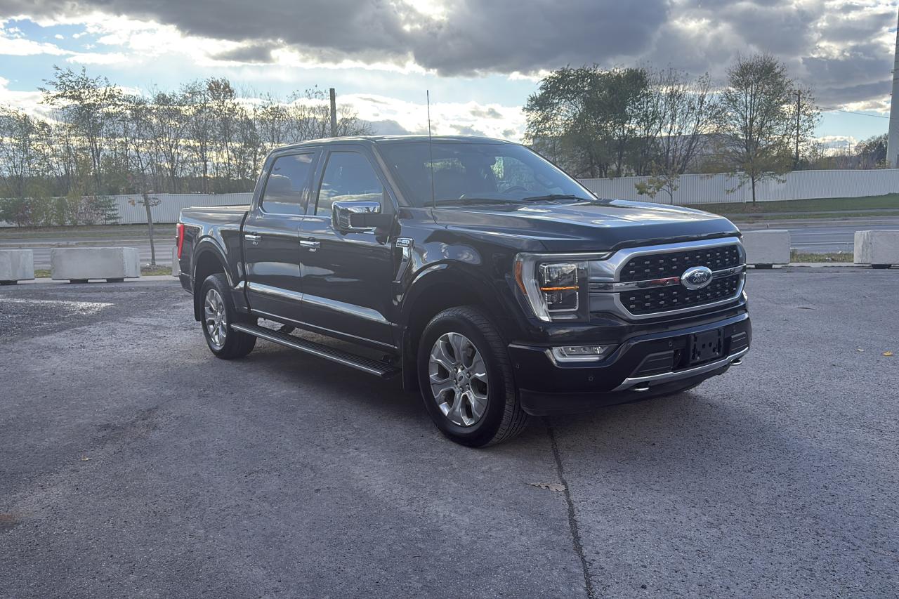 2021 Ford F-150 Platinum - Photo #4