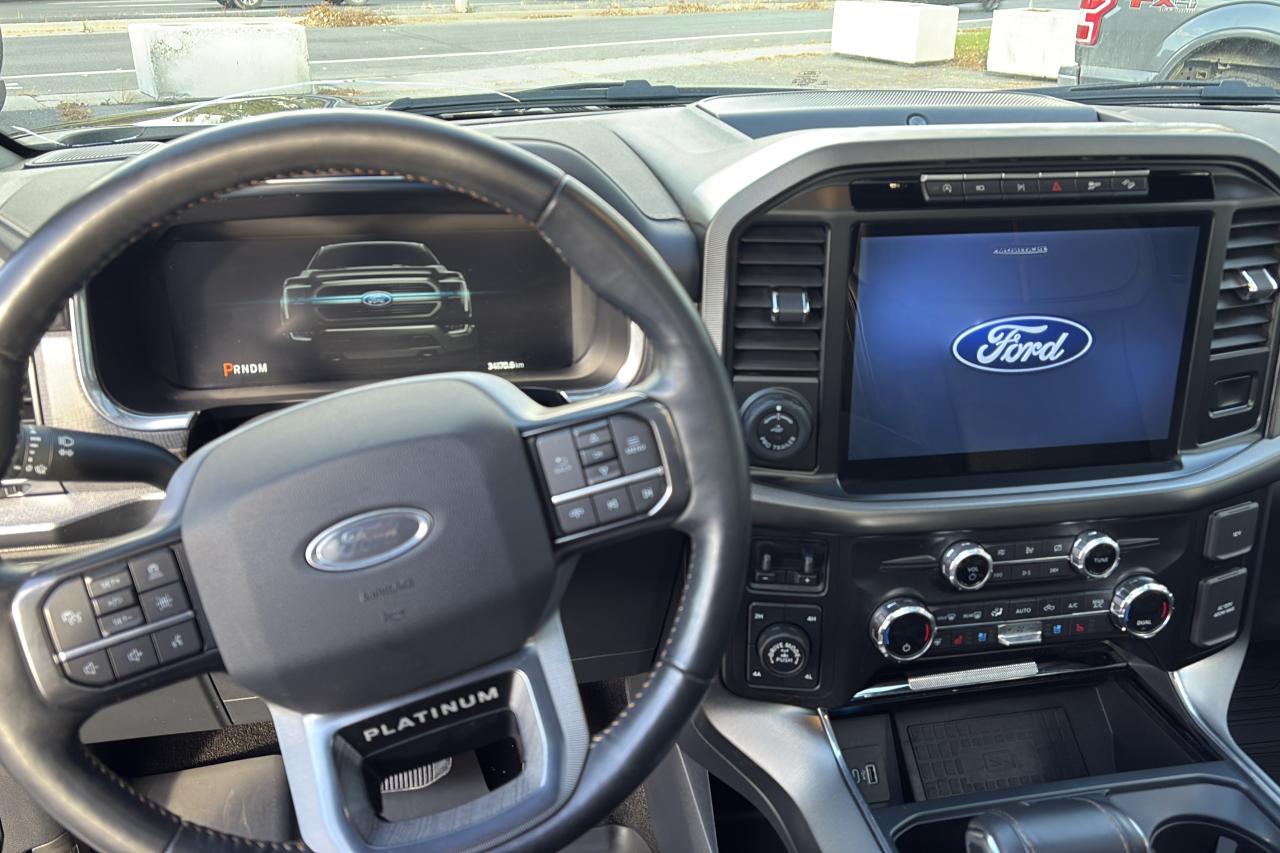 2021 Ford F-150 Platinum - Photo #7
