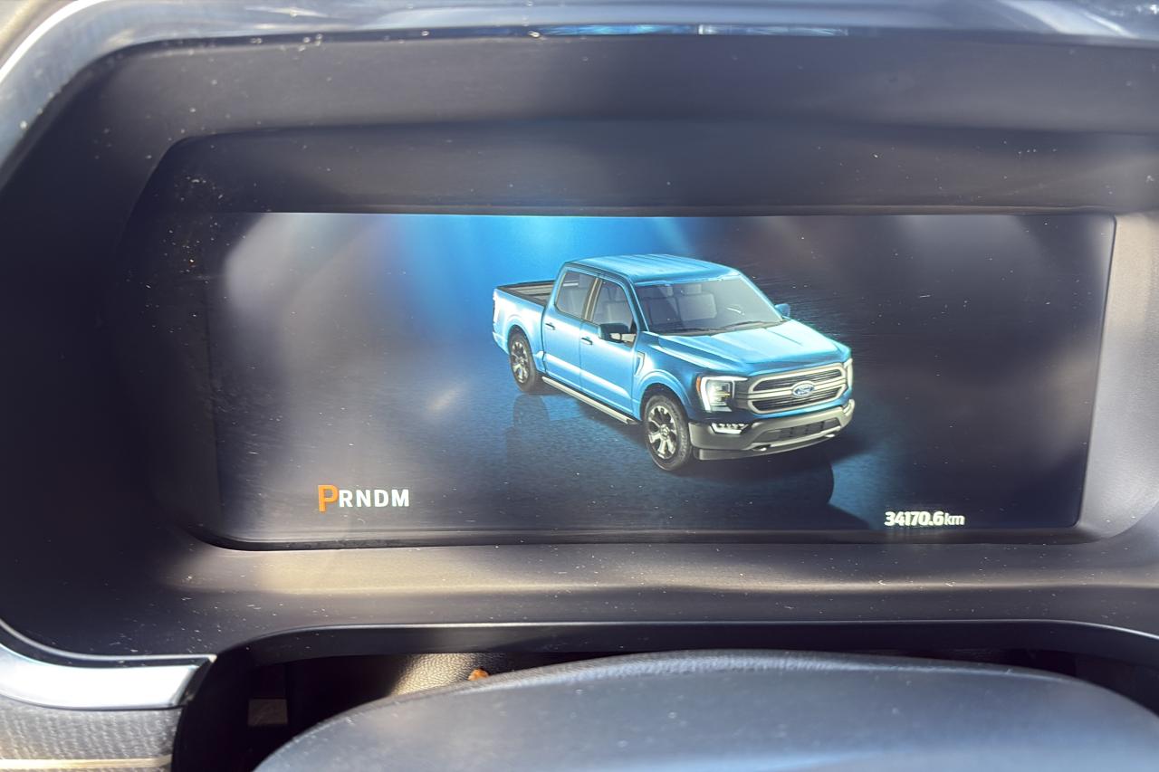 2021 Ford F-150 Platinum - Photo #8