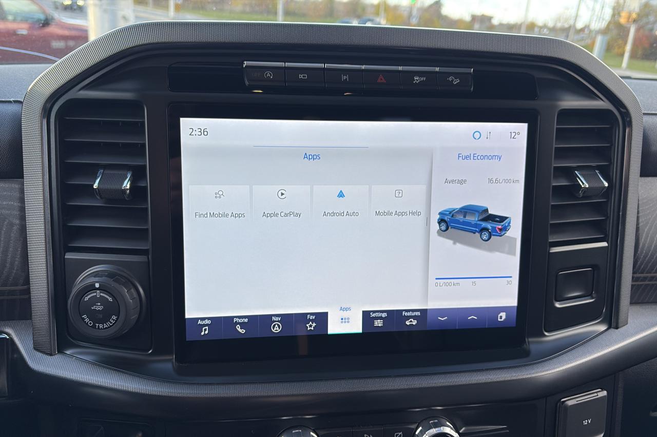 2021 Ford F-150 Platinum - Photo #9