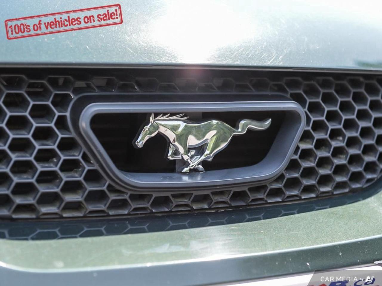 2001 Ford Mustang GT Photo