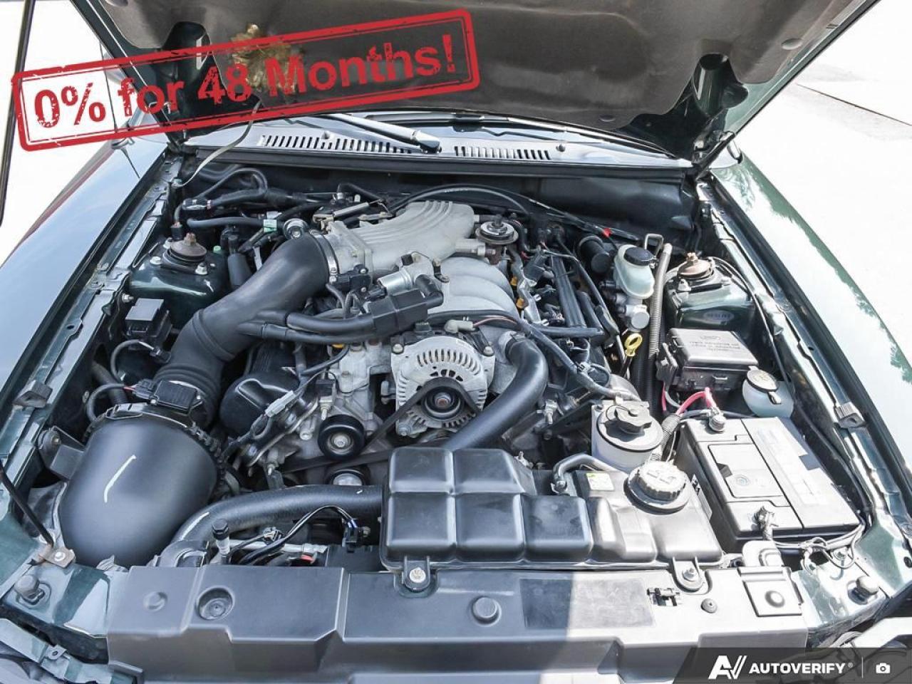 2001 Ford Mustang GT Photo