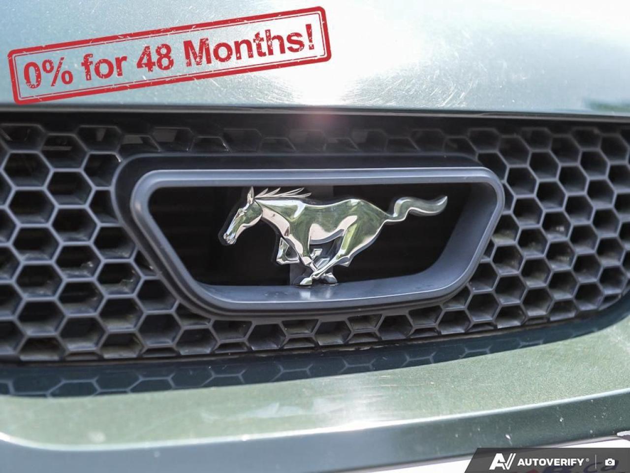 2001 Ford Mustang GT Photo