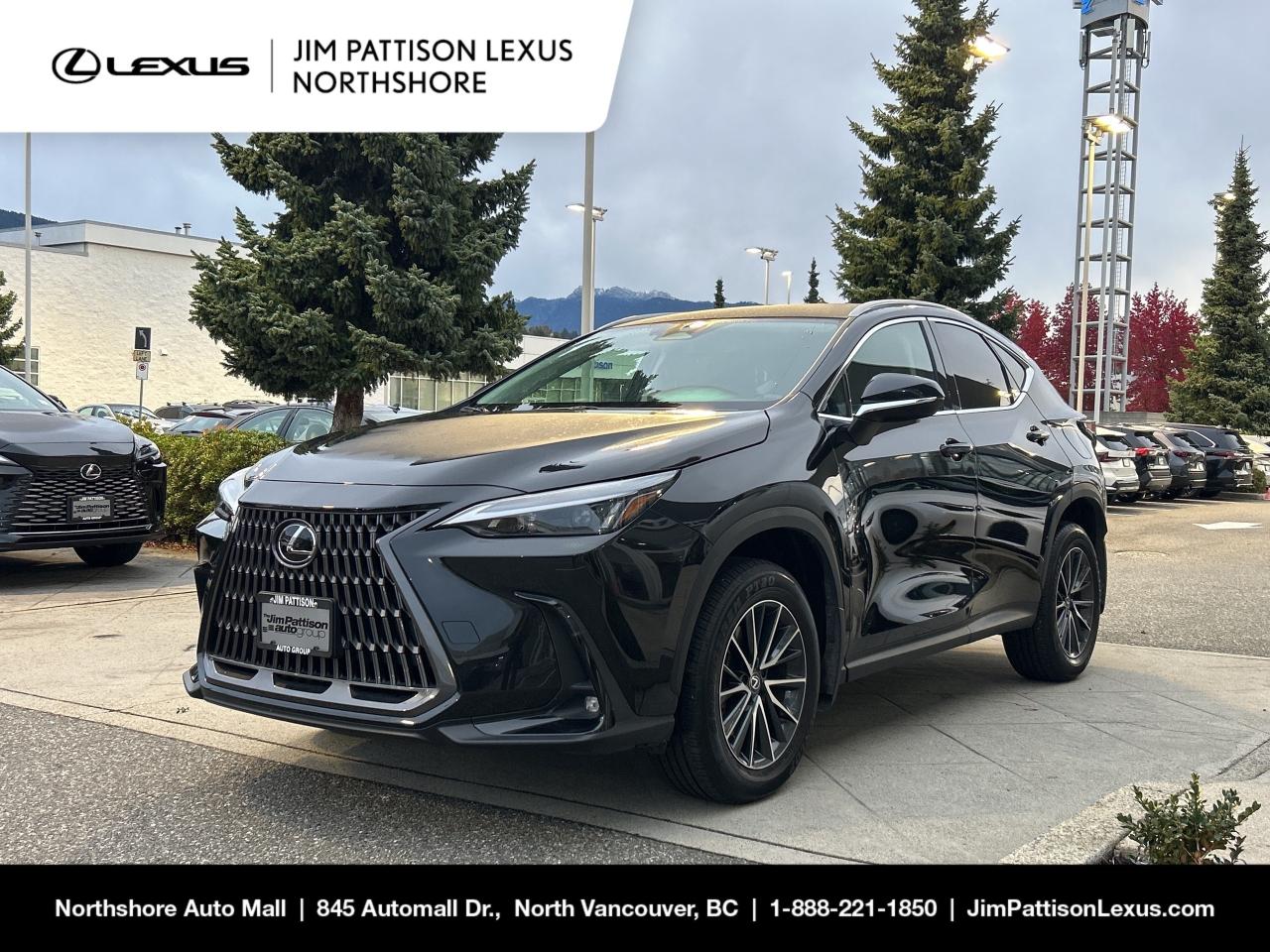 Used 2024 Lexus NX 250 / Signature Package / No Accident / Local Car for sale in North Vancouver, BC