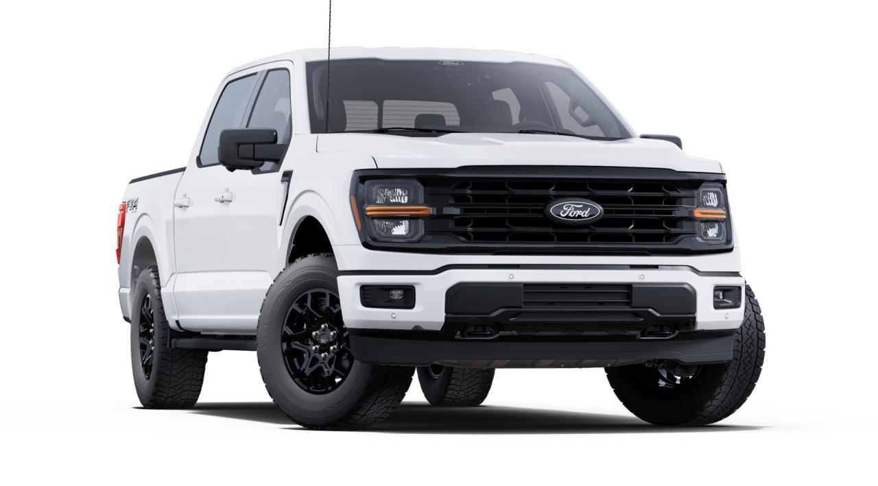 2025 Ford F-150 XLT 4WD SuperCrew 5.5' Box Photo