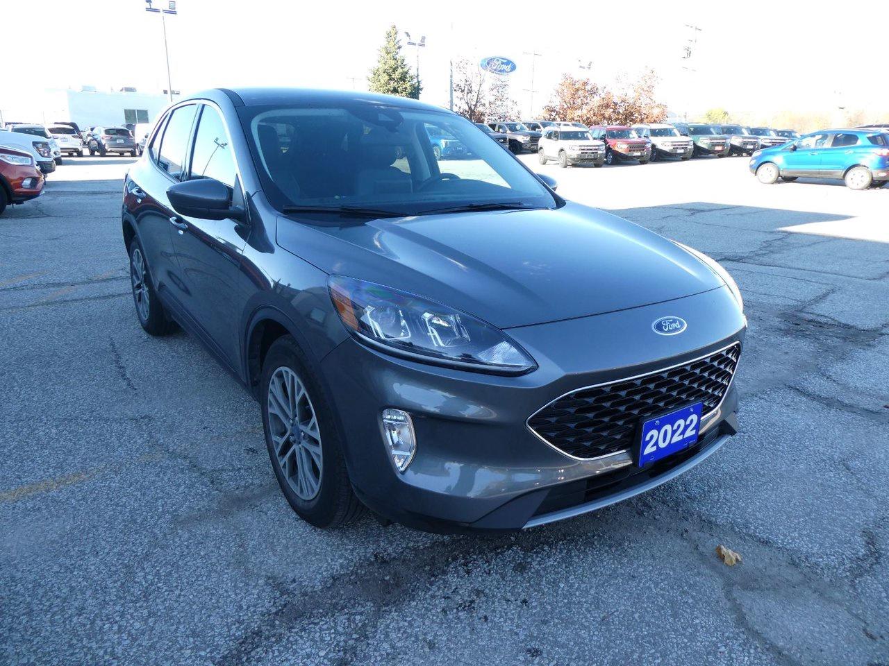 2022 Ford Escape SEL SEL Photo