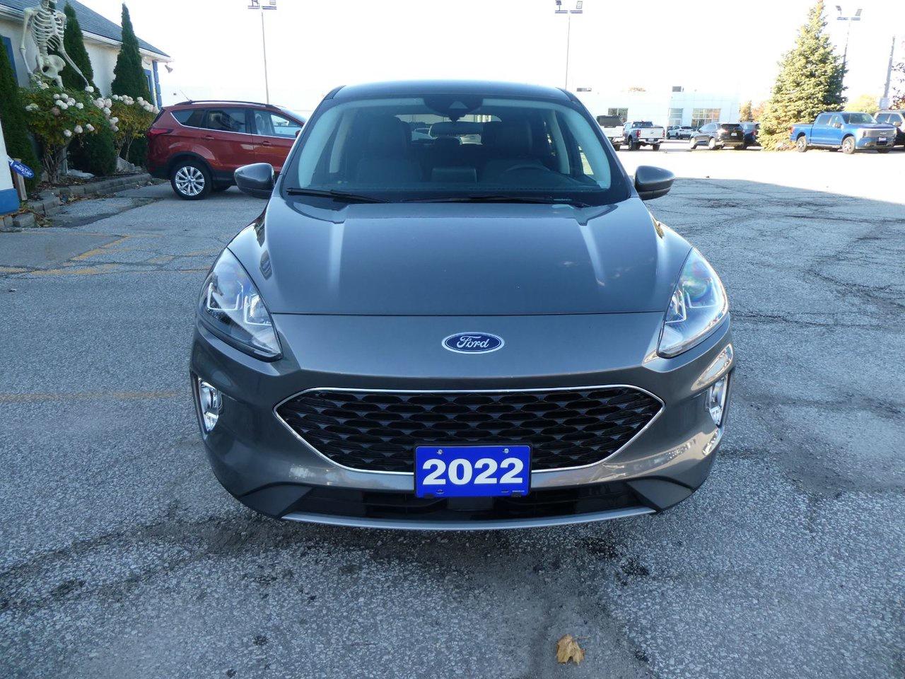 2022 Ford Escape SEL SEL Photo