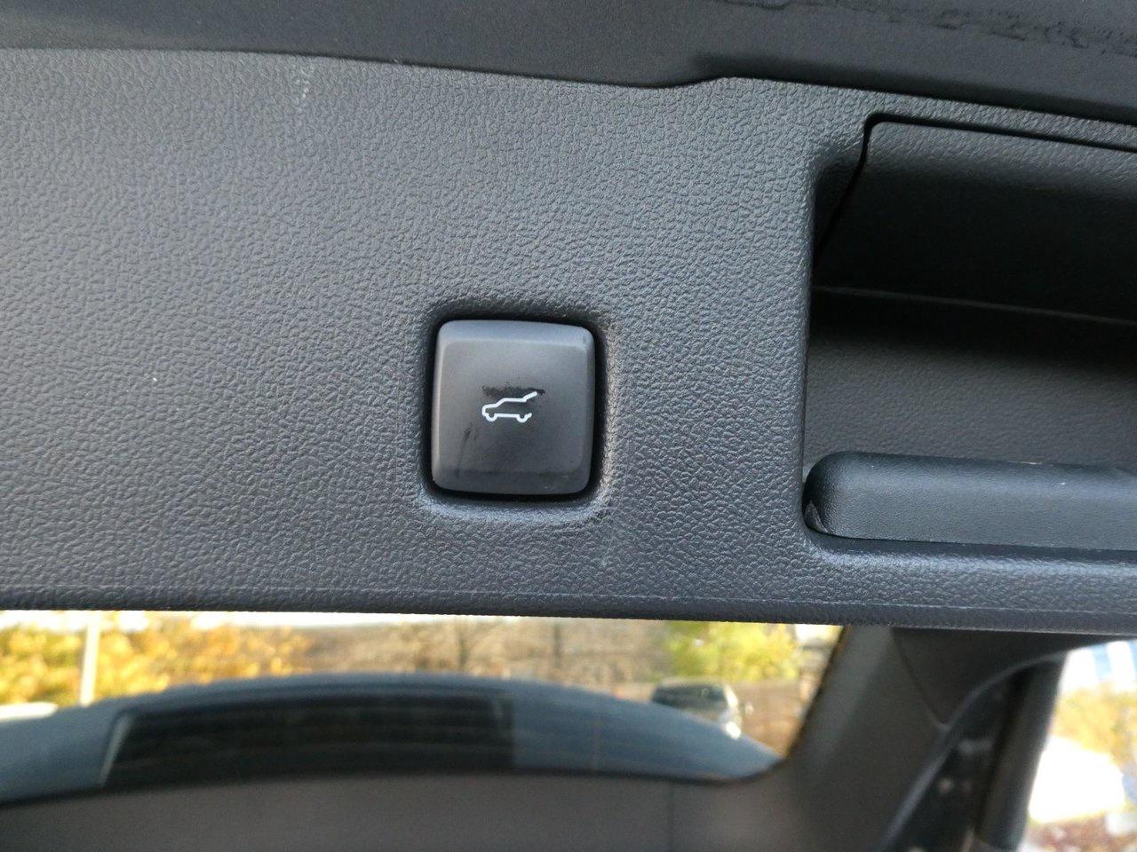 2022 Ford Escape SEL SEL Photo