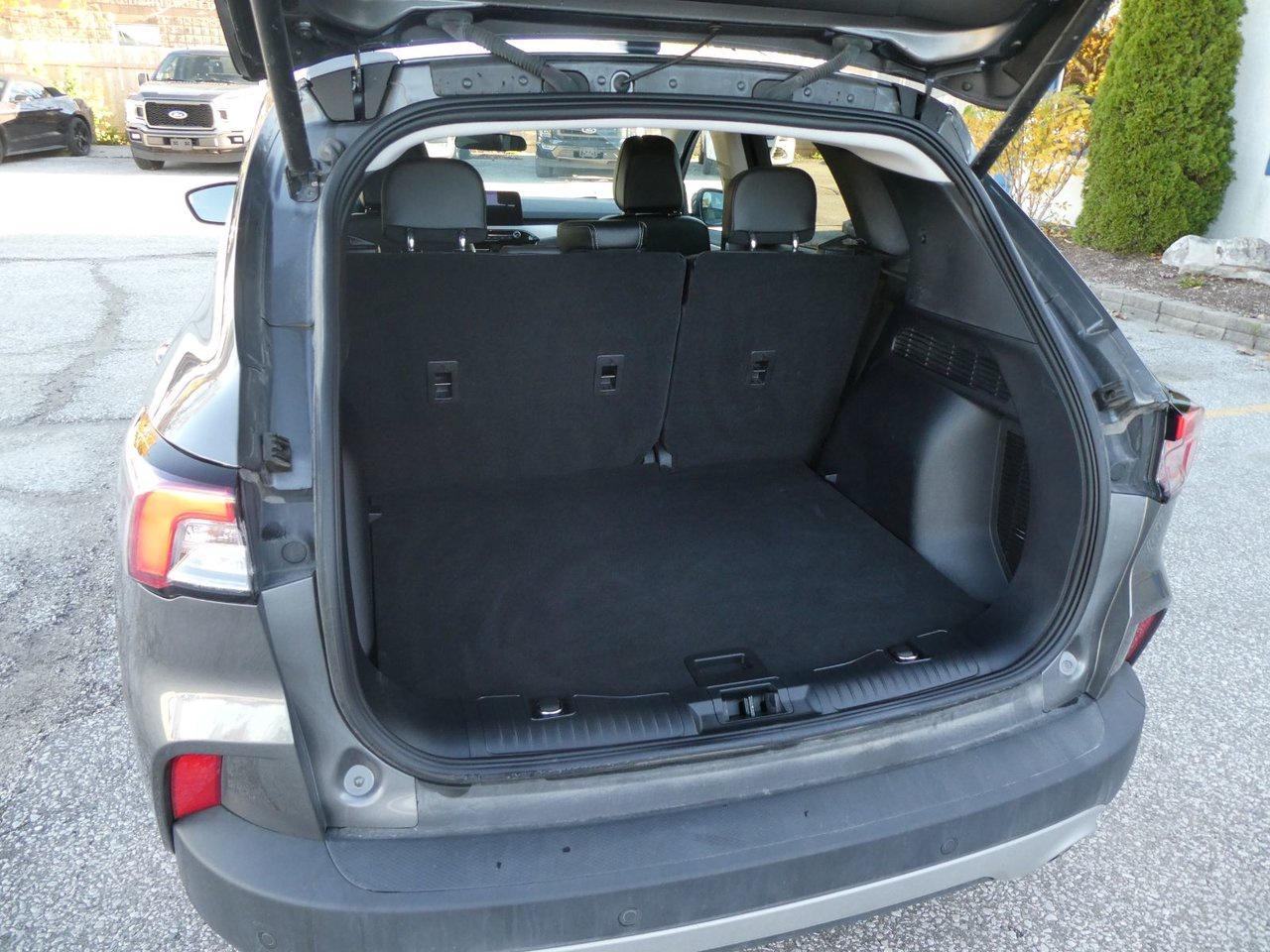 2022 Ford Escape SEL SEL Photo